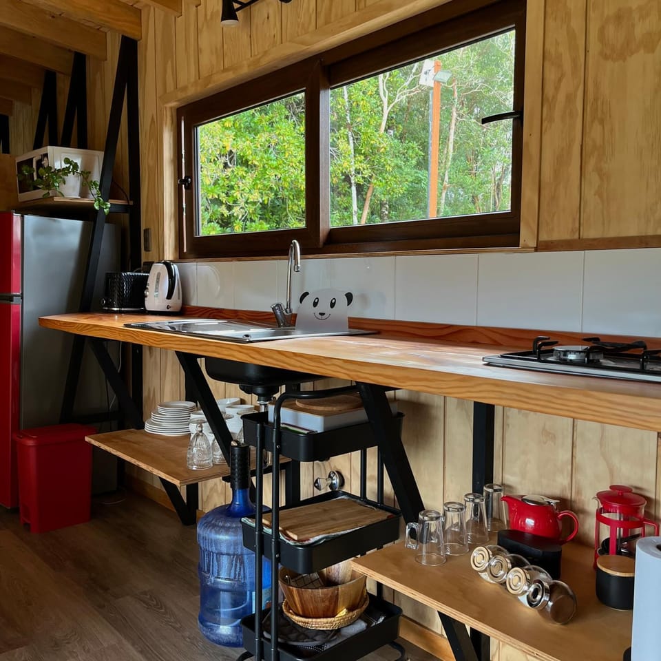 Punucapa Lodge Apartment in Los Ríos, Chile