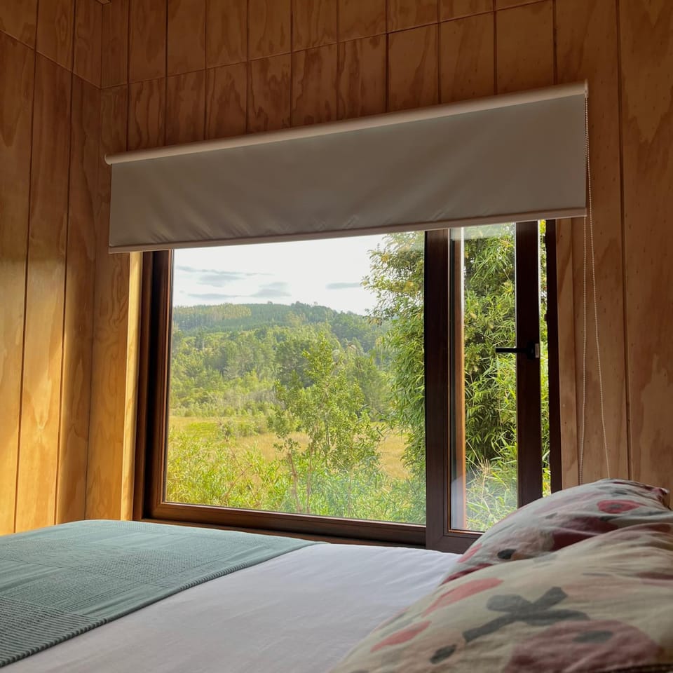 Punucapa Lodge Apartment in Los Ríos, Chile