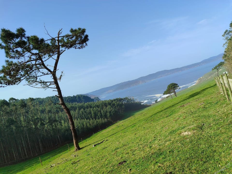 Natural landscape