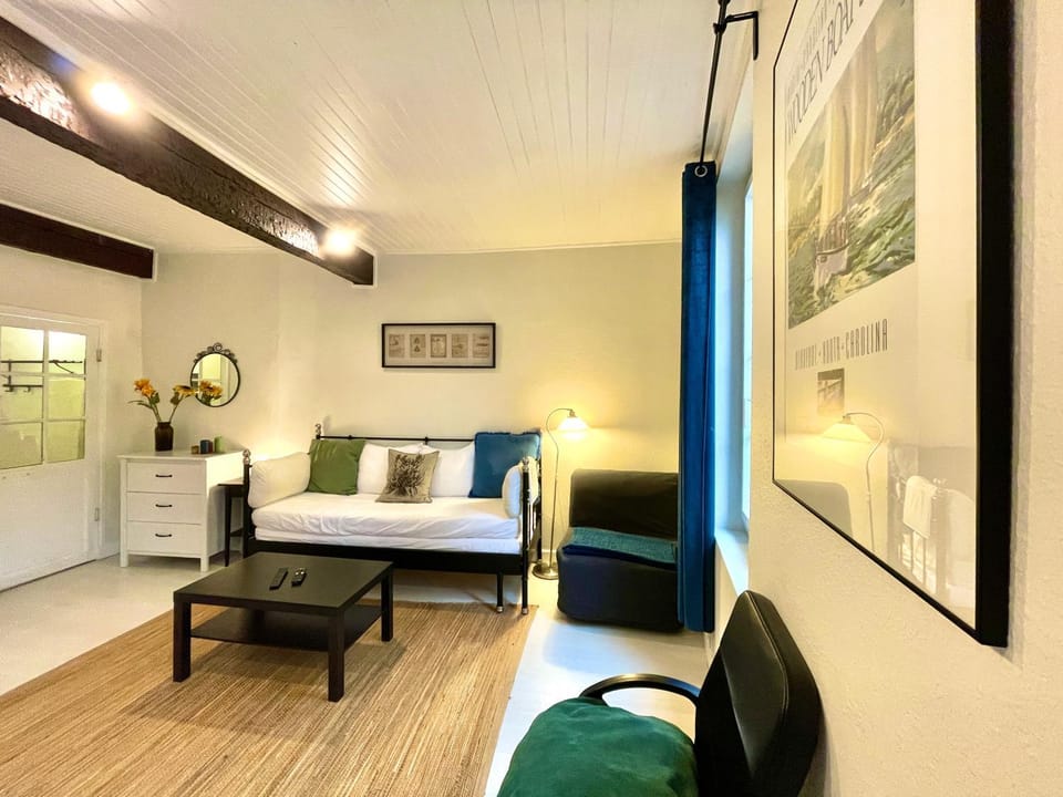 Bed, Living room, Photo of the whole room, Seating area, Bedroom