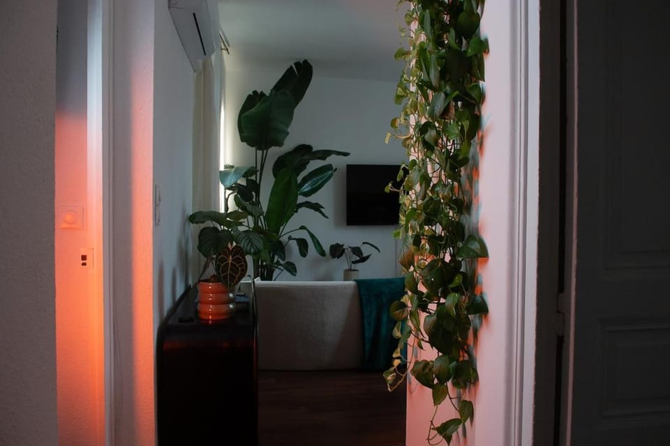 Écrin design et végétal centre Apartment in Valence