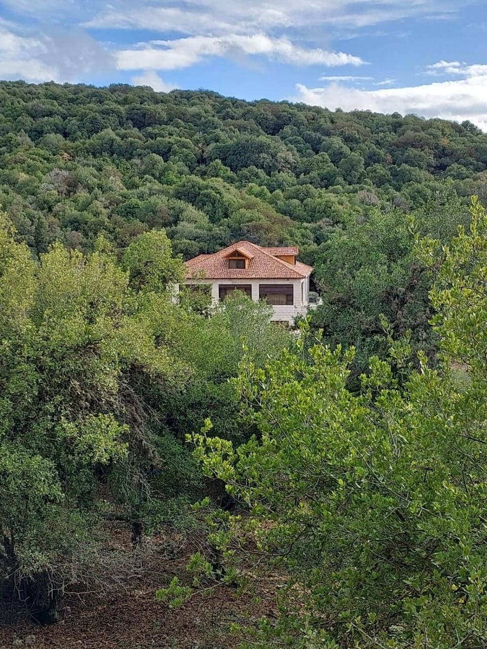 Property building, Natural landscape, Mountain view