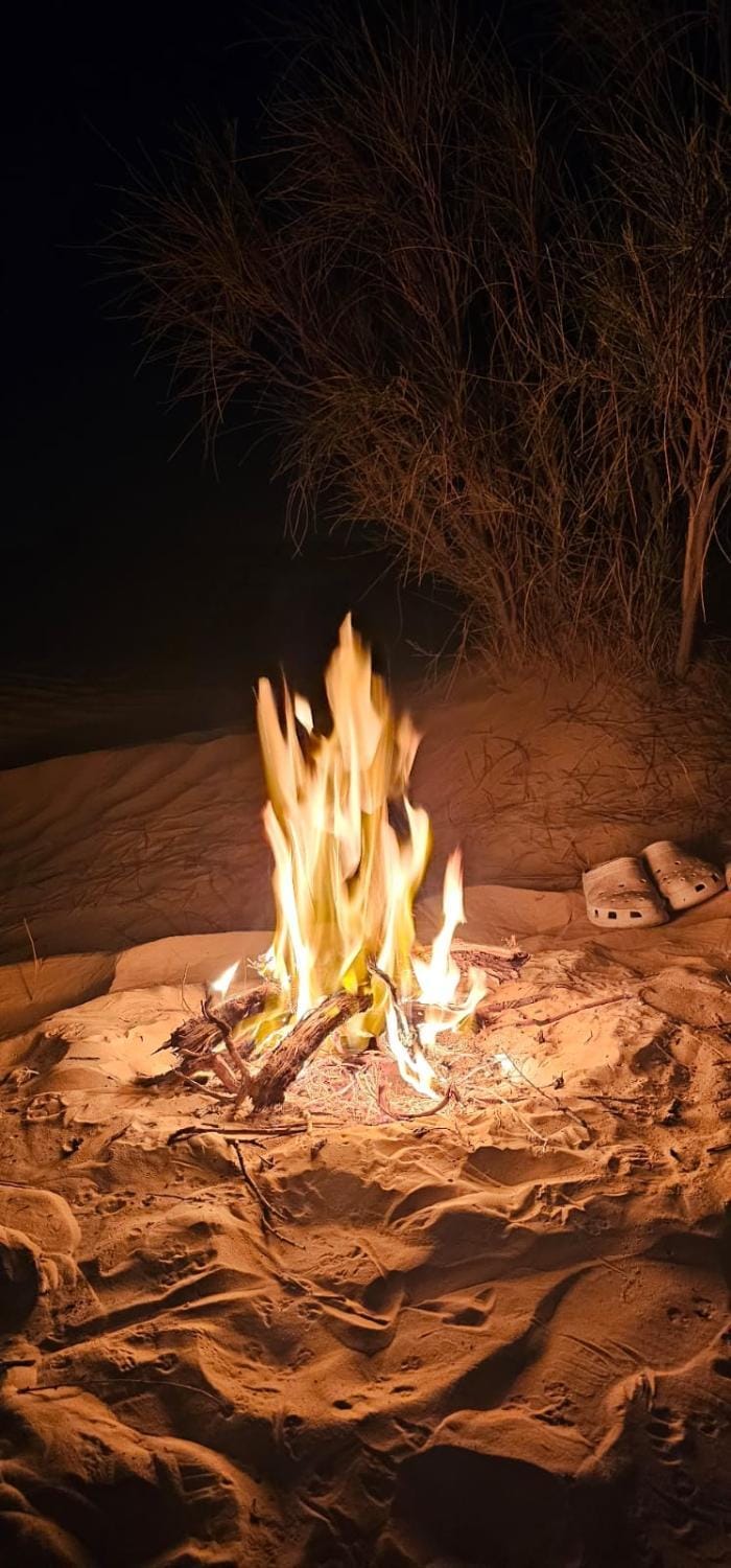 Bivouac,Camping ,Nuit dans le Désert en Dromadaires à Sahara Douz Tunisie Luxury tent in Tunisia