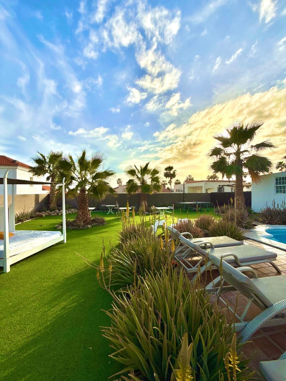 Day, Garden, Garden view, sunbed