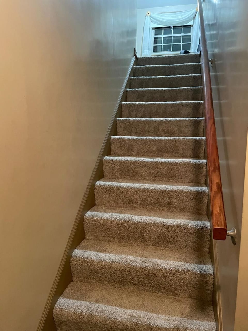 Cozy Apartment w Garage Apartment in Ohio