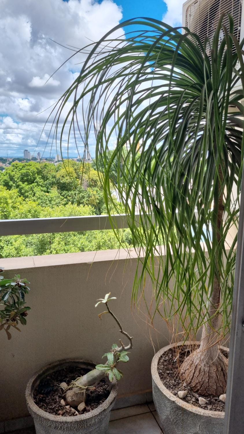 Ape 2 qtos goiabeiras Apartment in State of Mato Grosso, Brazil