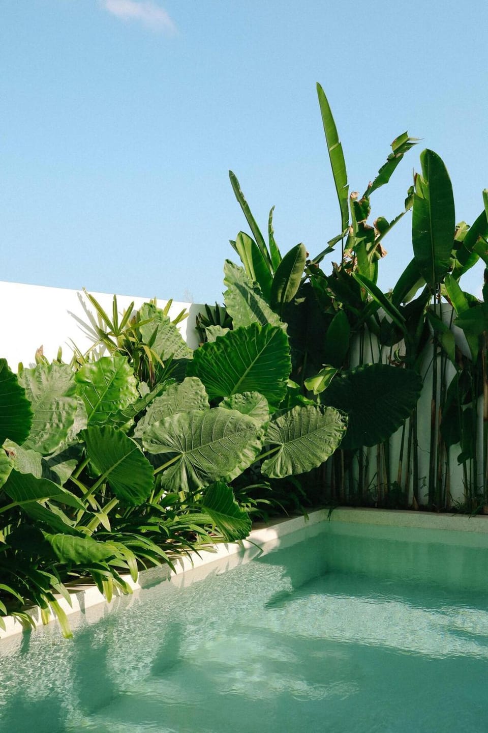 Mia Villa Modern Tropical 2BR Villa in Pererenan Villa in North Kuta