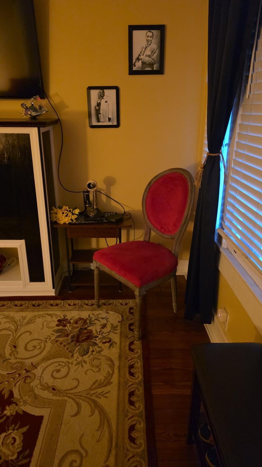 Private Bedroom Bath plus Sitting Room & Porch Apartment in New Orleans