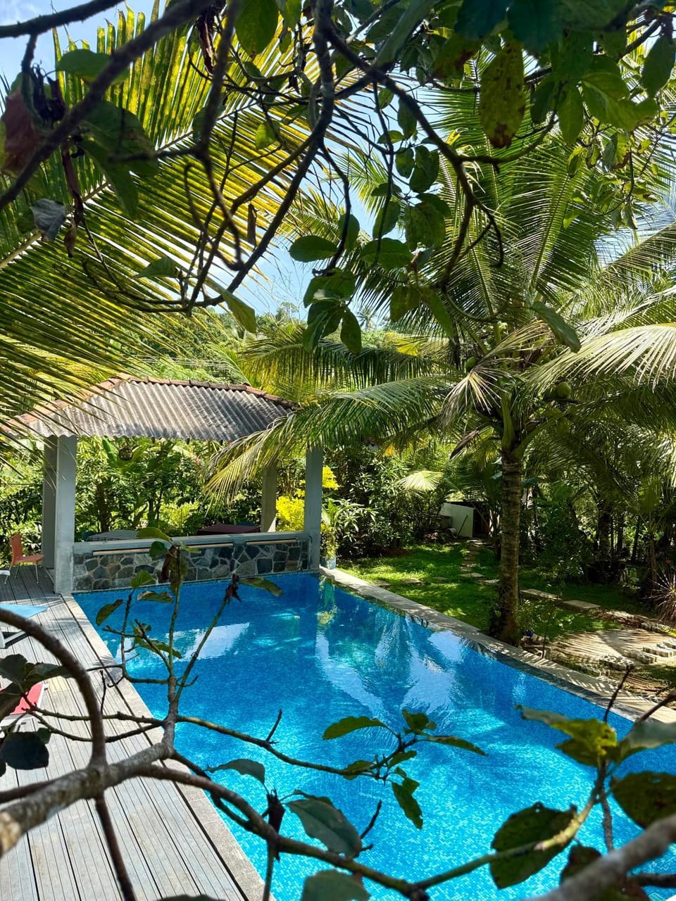 Spring, Day, Garden, Garden view, Pool view, Swimming pool, sunbed