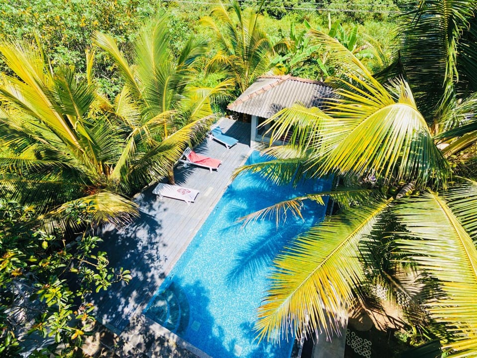 Natural landscape, Garden, Garden view, Pool view, Swimming pool, sunbed