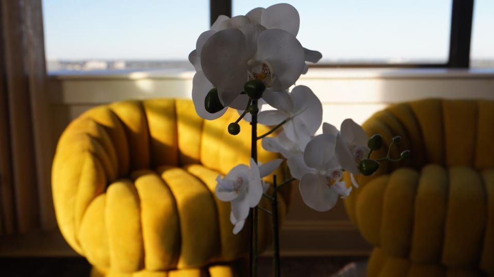 Sky Lounge 14 Penthouse Views Private Getaway Apartment in Jacksonville