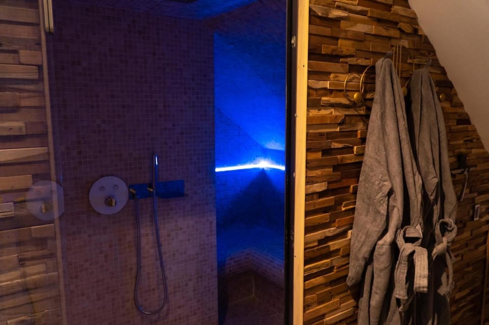 Love Room Evasion Jacuzzi Sauna Hamamm House in Saint-Cyr-sur-Loire