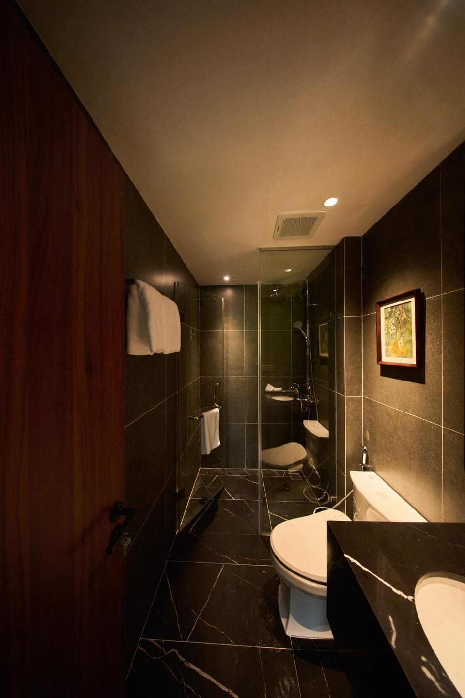 Shower, Toilet, Bathroom