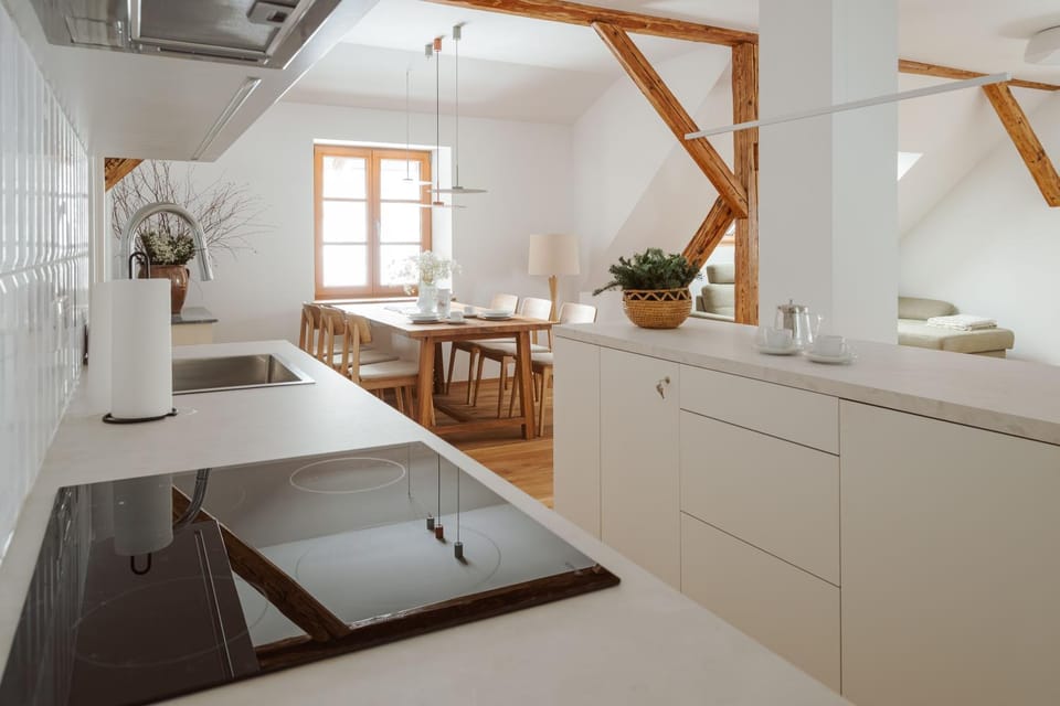 Kitchen or kitchenette, Dining area, oven, stove