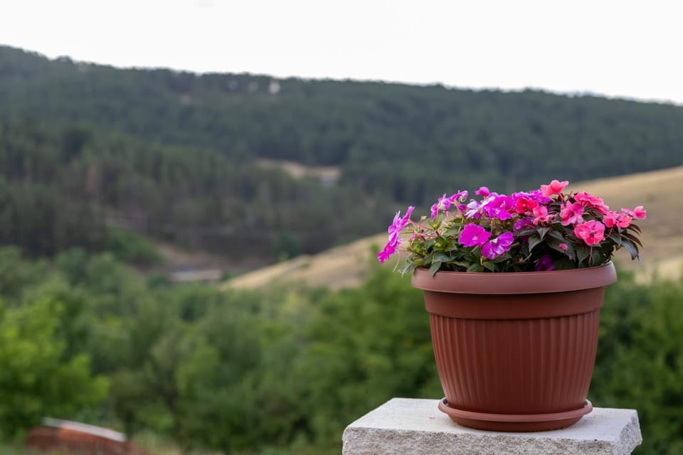 Mountain view