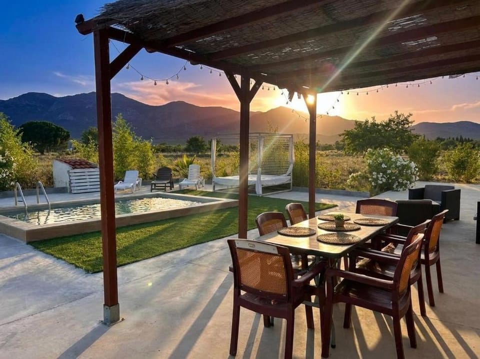 Garden, Swimming pool