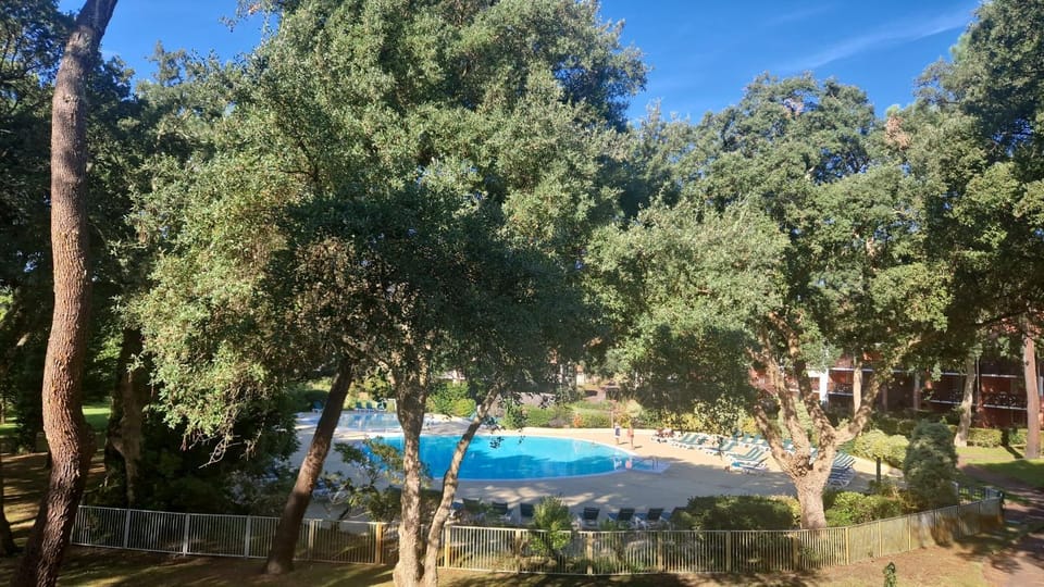 Natural landscape, Garden view, Pool view, Swimming pool