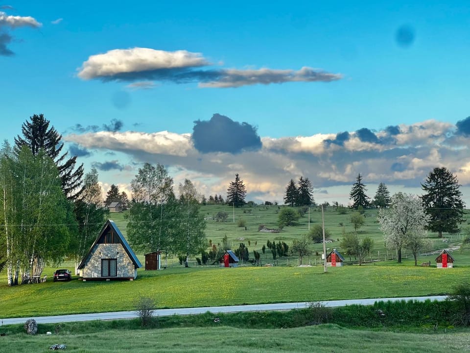 Spring, Day, People, Garden view