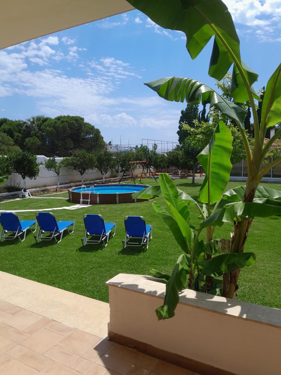 Garden, Garden view, Pool view, Swimming pool, sunbed