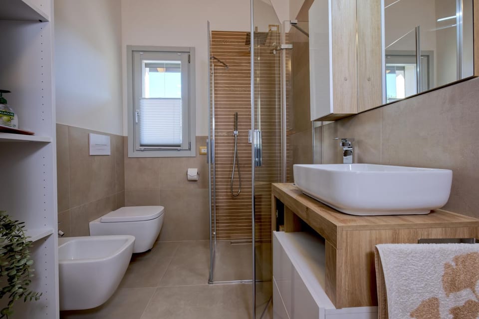 Shower, Toilet, Bathroom, bidet