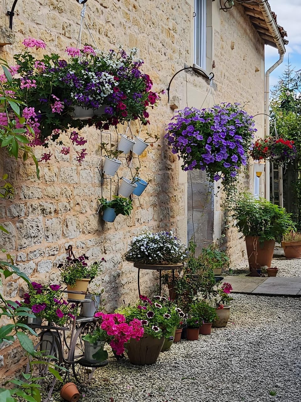 Le Gite du Bois Renard House in Nouvelle-Aquitaine