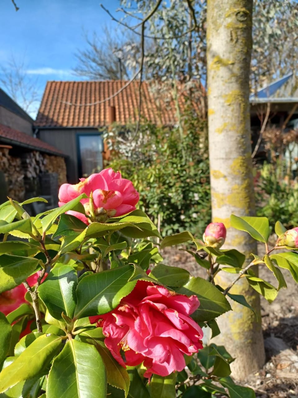 B&B Hartje Oirschot Bed and Breakfast in North Brabant (province)