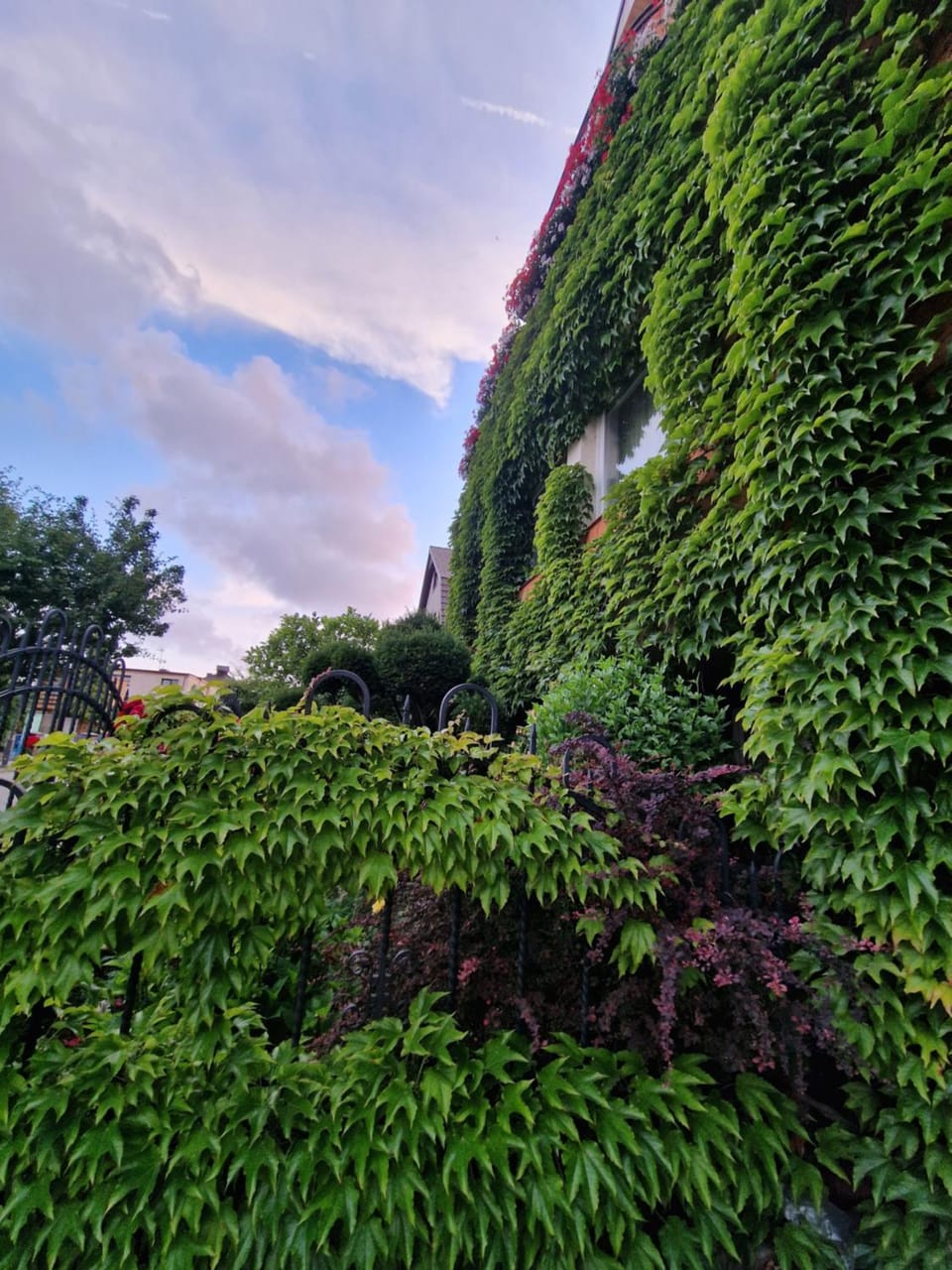 Natural landscape, Garden, Garden view