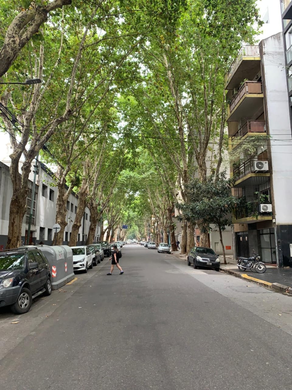 Neighbourhood