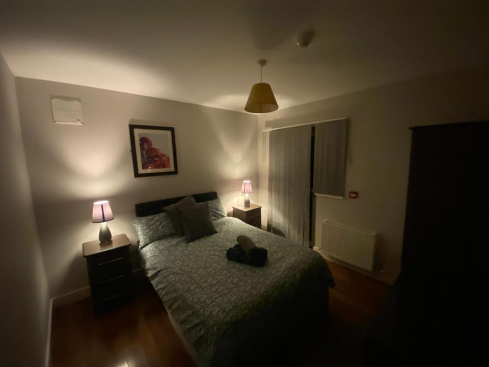 ulsterville cosy apartment 5 min walk from city center STRICTLY OVER 25 ONLY Apartment in Belfast