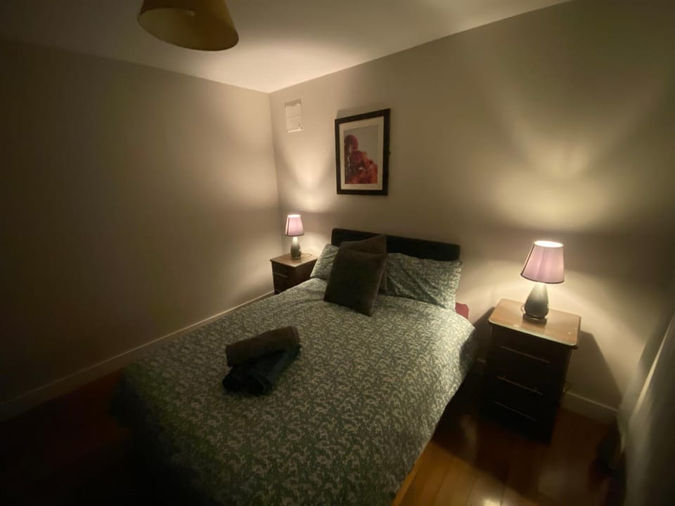 ulsterville cosy apartment 5 min walk from city center STRICTLY OVER 25 ONLY Apartment in Belfast