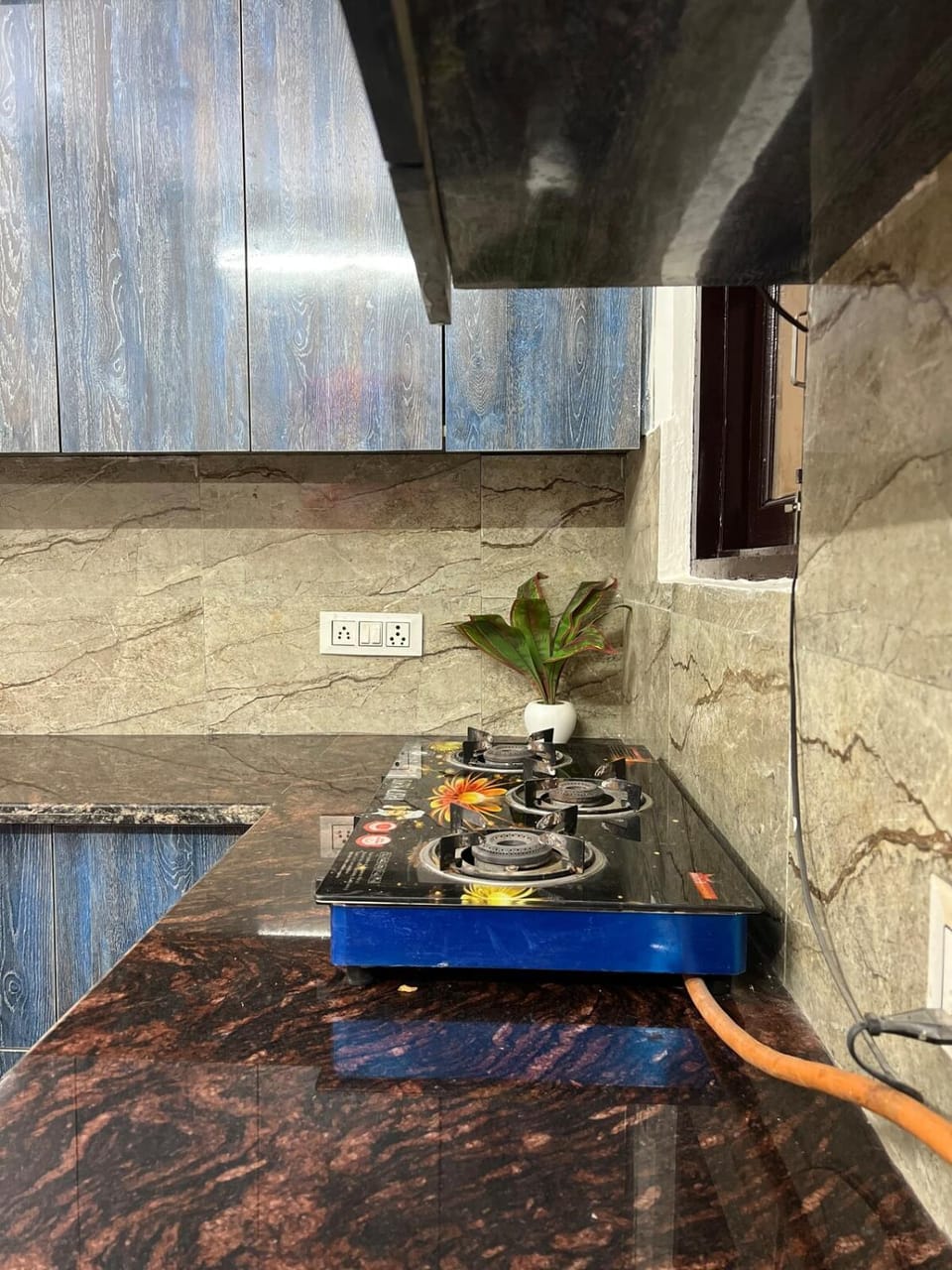 Cozy Cube Apartment in Delhi
