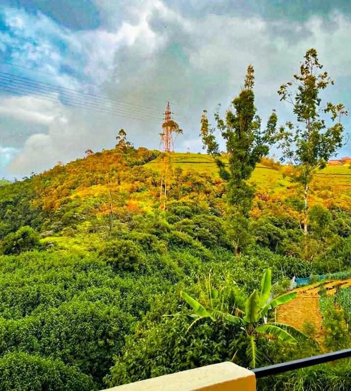 Day, Natural landscape, Mountain view