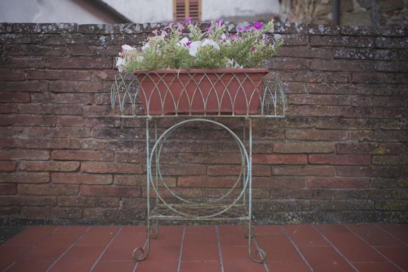 Facade/entrance, Garden, Decorative detail