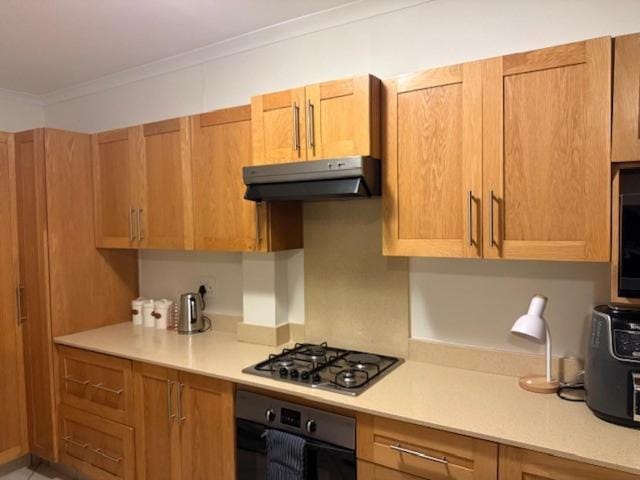 Coffee/tea facilities, stove, toaster