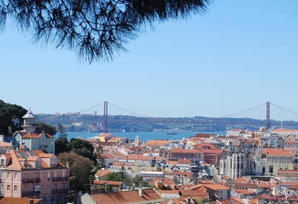 Natural landscape, City view, Landmark view, River view