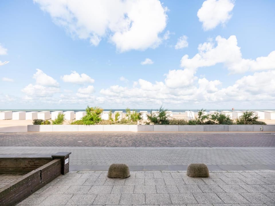 Summer, View (from property/room)