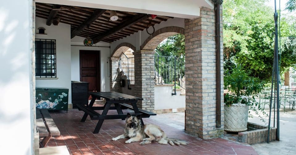 Patio, Facade/entrance