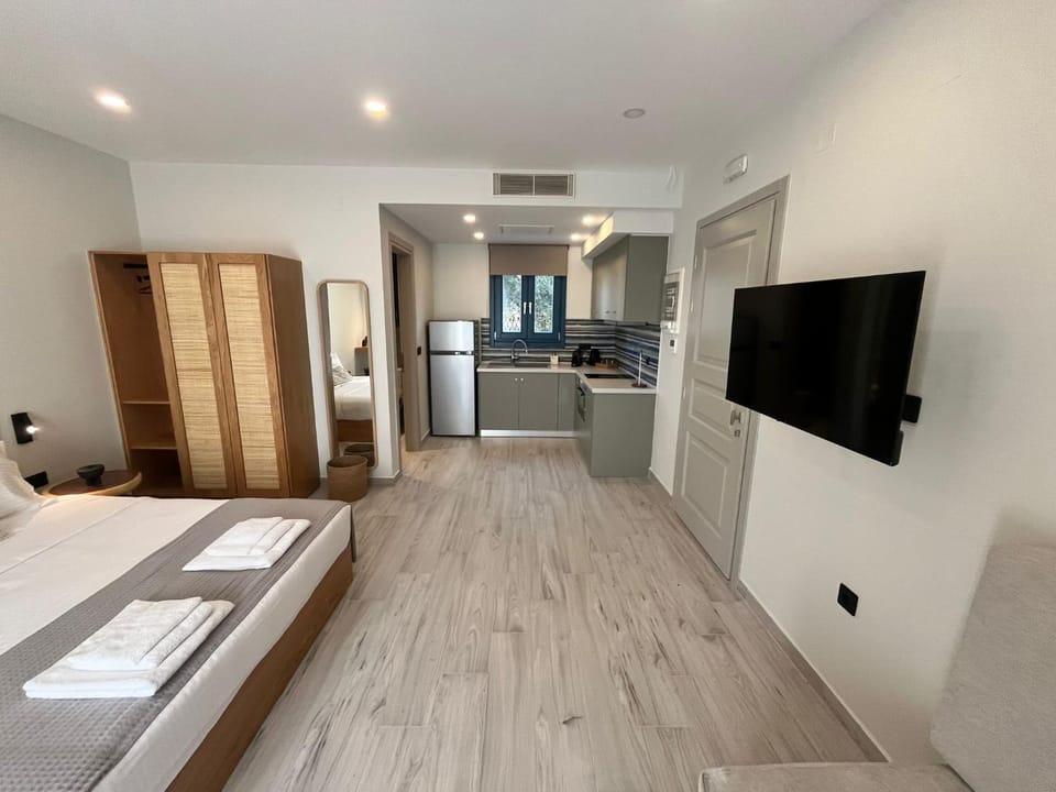 TV and multimedia, Kitchen or kitchenette, Photo of the whole room, oven, stove, wardrobe