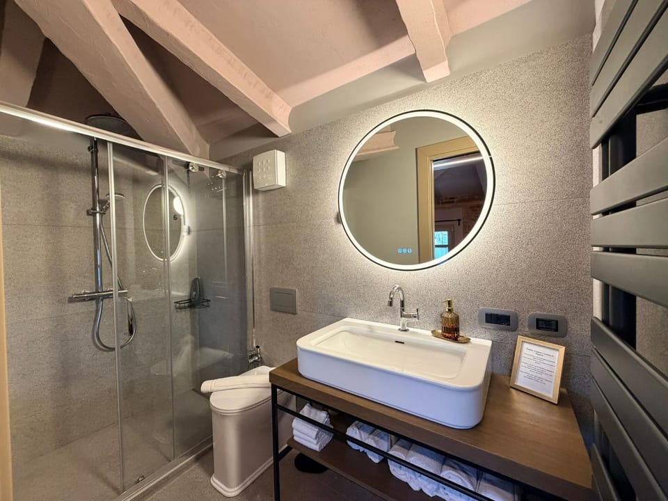 Shower, Toilet, Bathroom, towels
