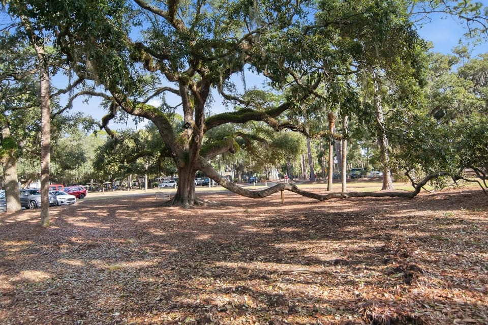 909 Cutter Court Apartment in Hilton Head Island