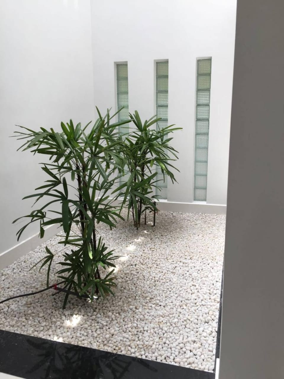 Posh Villa in TVM , Kowdiar, please contact host before booking Villa in Thiruvananthapuram