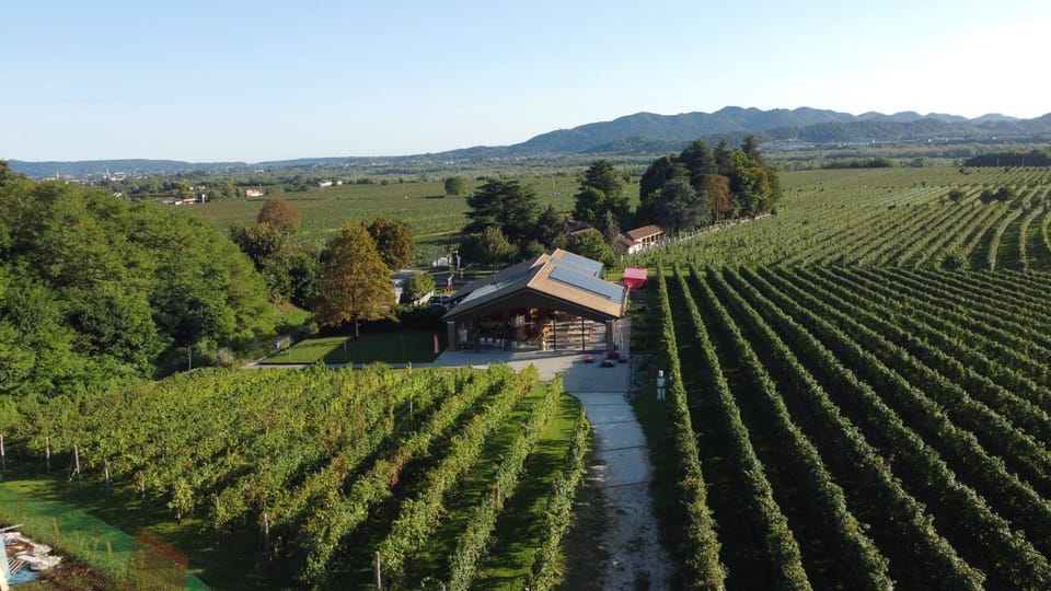 Neighbourhood, Natural landscape