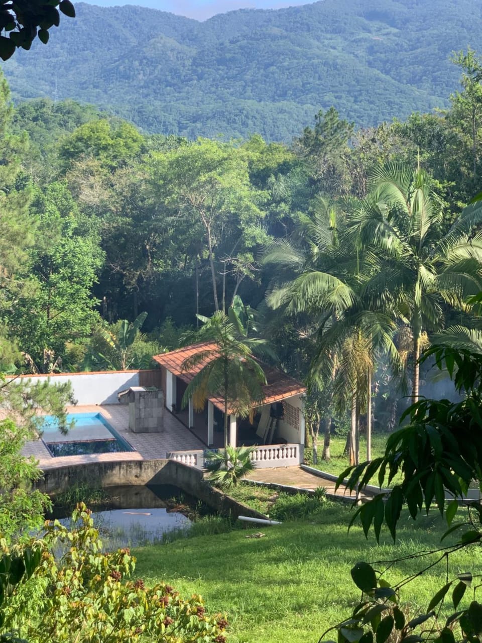 View (from property/room)