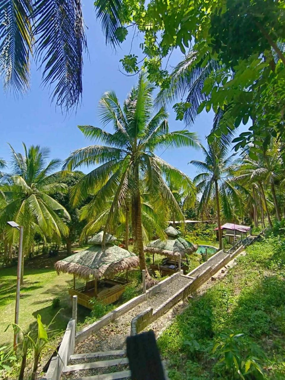 Natural landscape