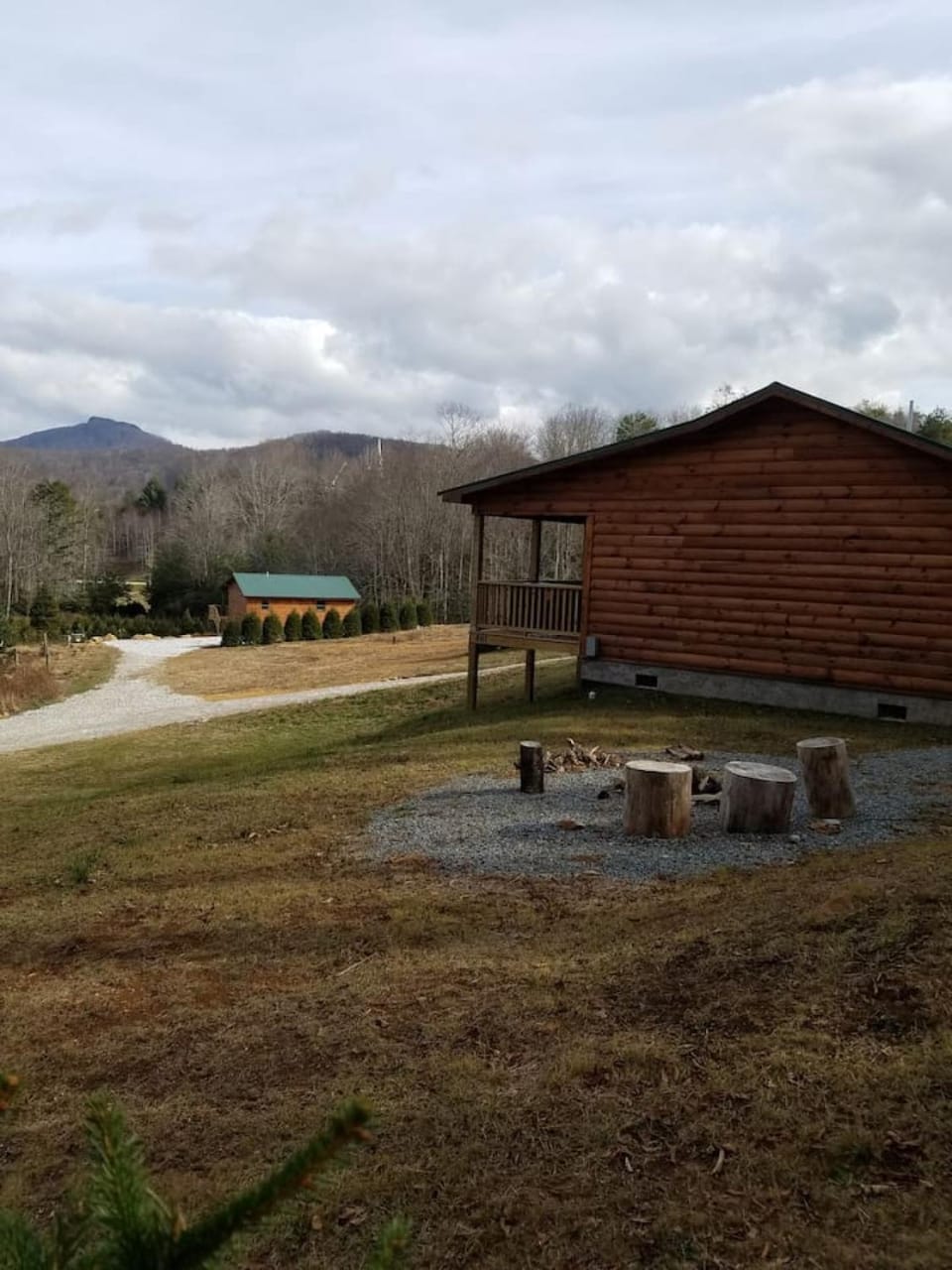 Little Bear Cabin Cabin in Watauga