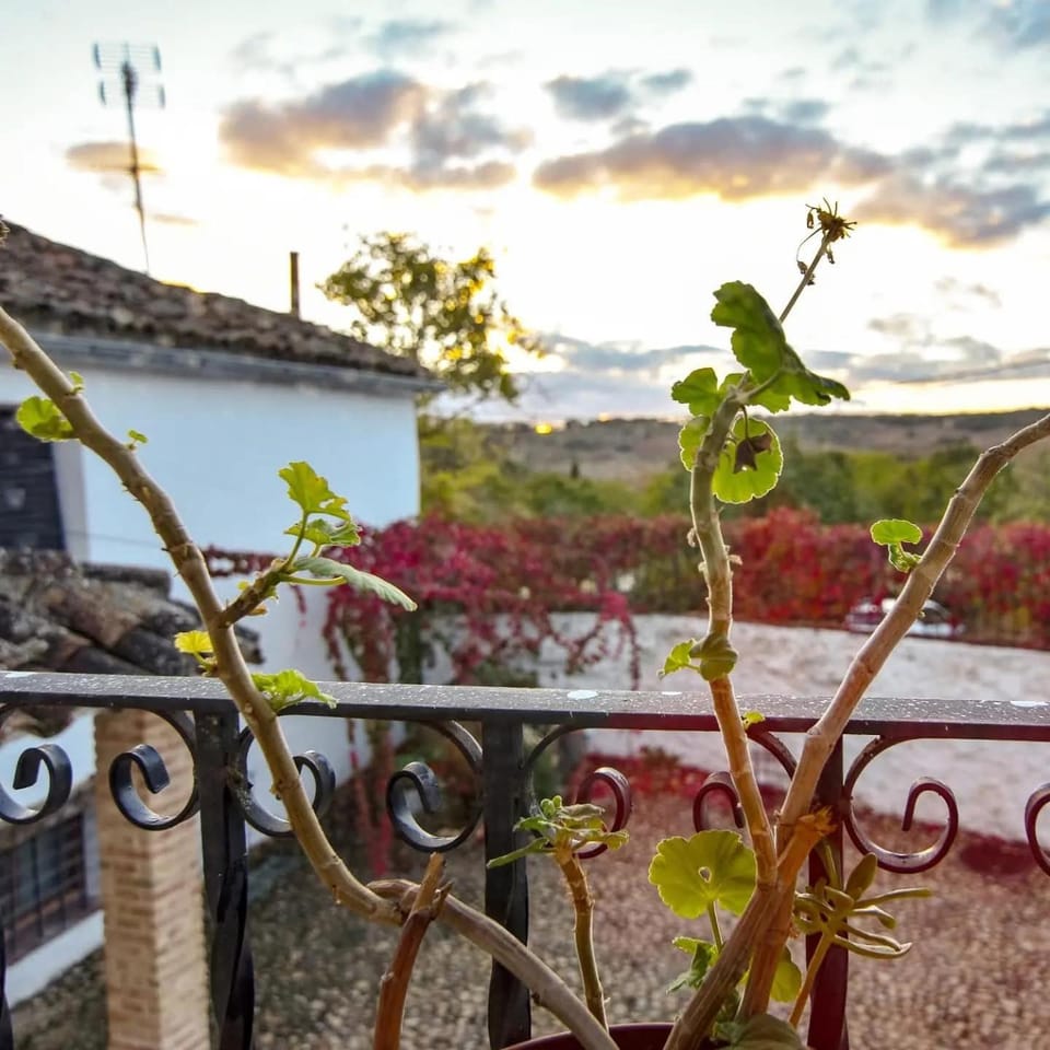 Casas Rurales Las Lagunas Country House in Castile-La Mancha