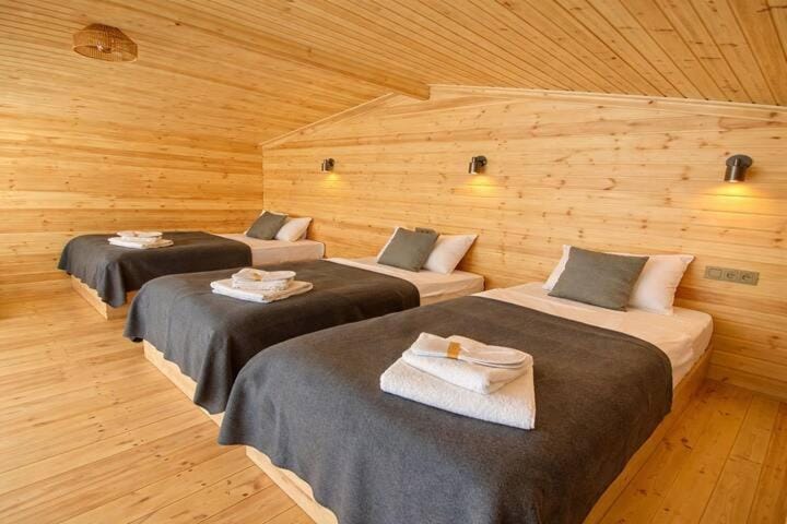 Gudauri Deka Alpine Cottages House in Georgia
