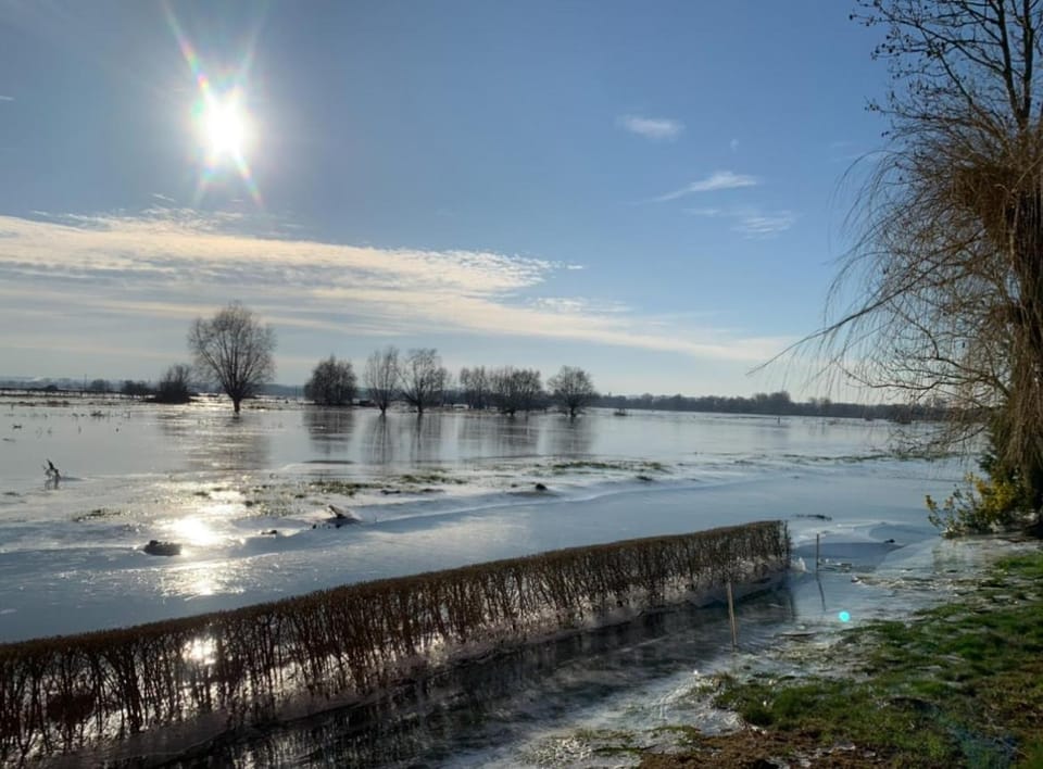 Ferme au cœur du marais Audomarois Villa in Hauts-de-France