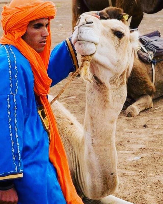 Azuri Merzouga Camp Luxury tent in Morocco
