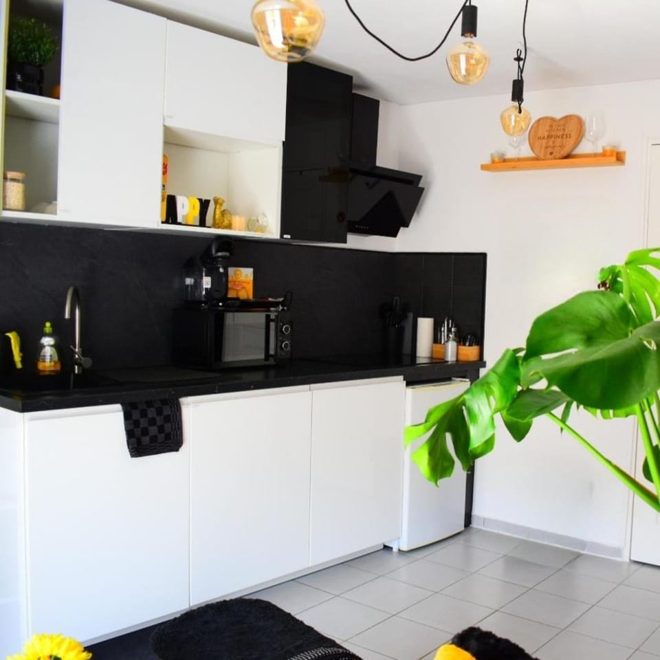 Kitchen or kitchenette, microwave, stove